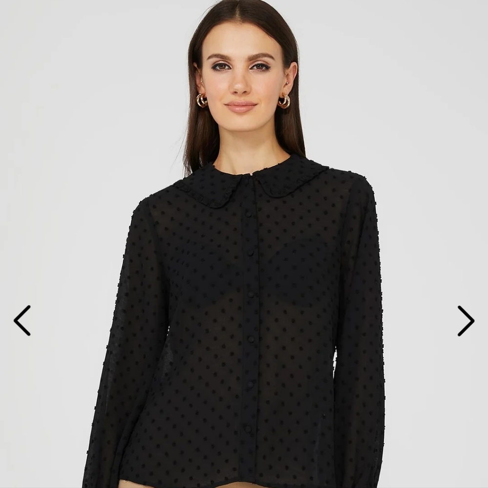 Textured Button-Front Ruffle Collar Blouse